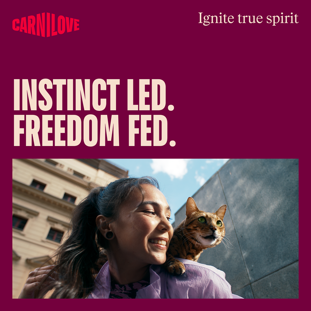 Carnilove True Fresh Beef for Kittens Dry Cat Food