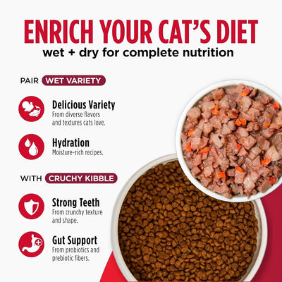 Nulo FreeStyle Cat & Kitten Grain-Free Chicken & Cod – 5 LB