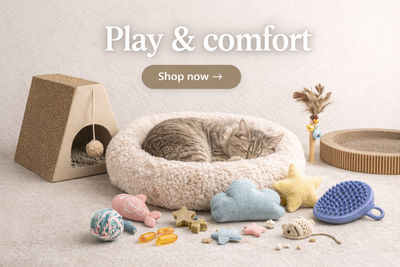 Play & Comfort