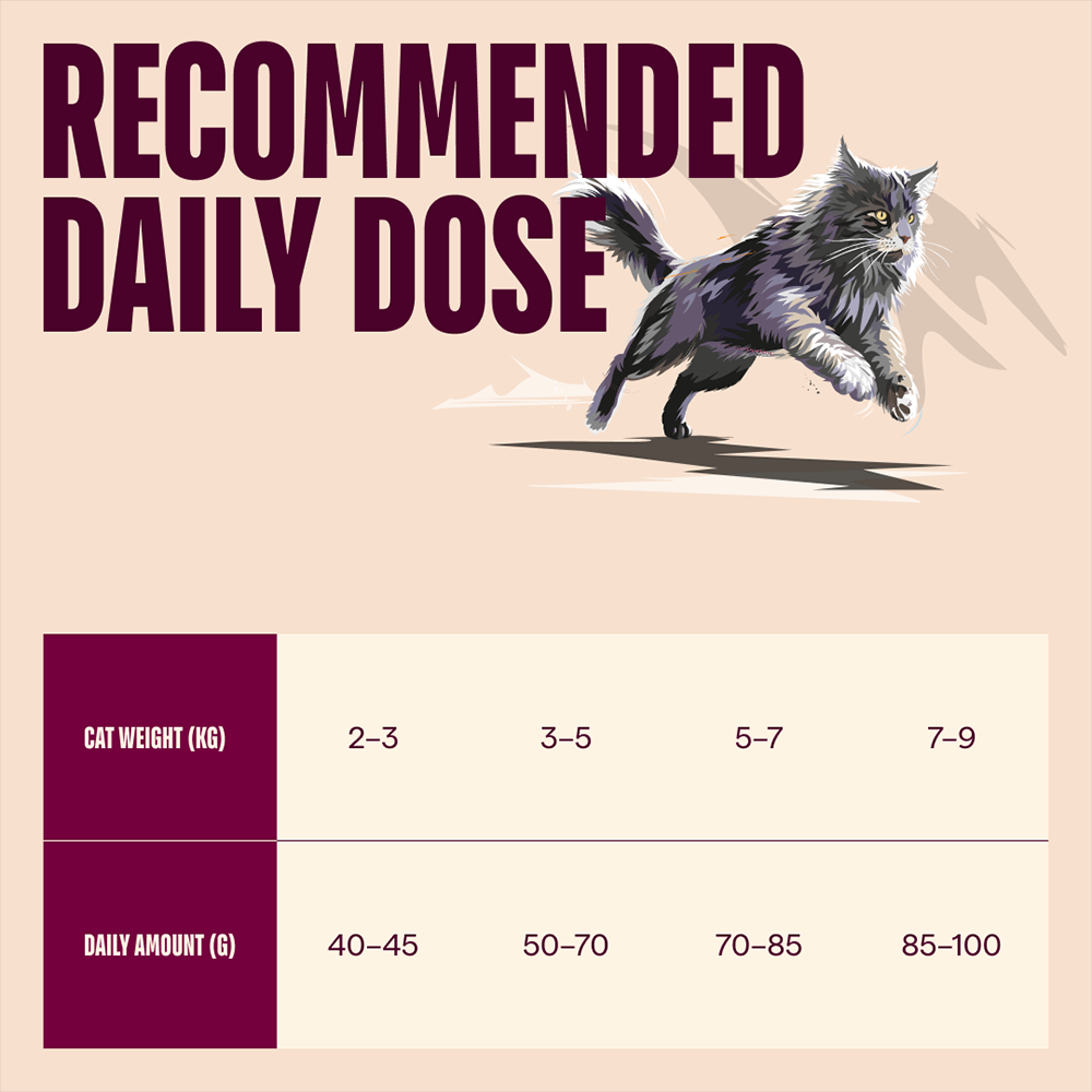 Carnilove Active Salmon & Turkey for Adult All Breeds Dry Cat Food