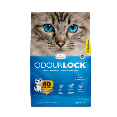 Intersand OdourLock Unscented Litter – 12 kg