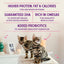 Stella & Chewy's Raw Coated Premium Kibble Cat Kitten Food 2.5 lb