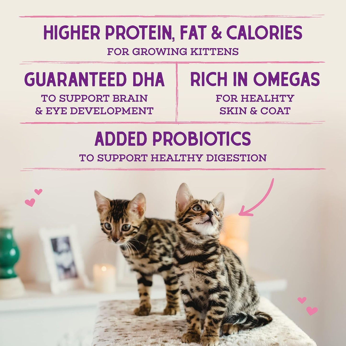 Stella & Chewy's Raw Coated Premium Kibble Cat Kitten Food 2.5 lb