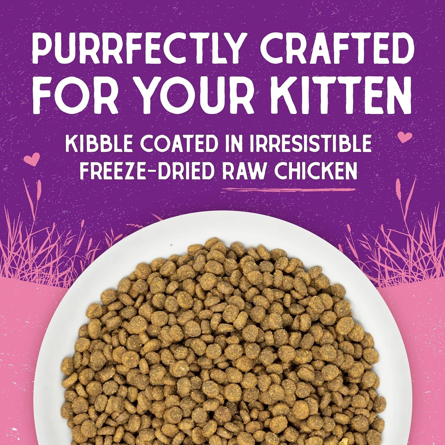 Stella & Chewy's Raw Coated Premium Kibble Cat Kitten Food 2.5 lb