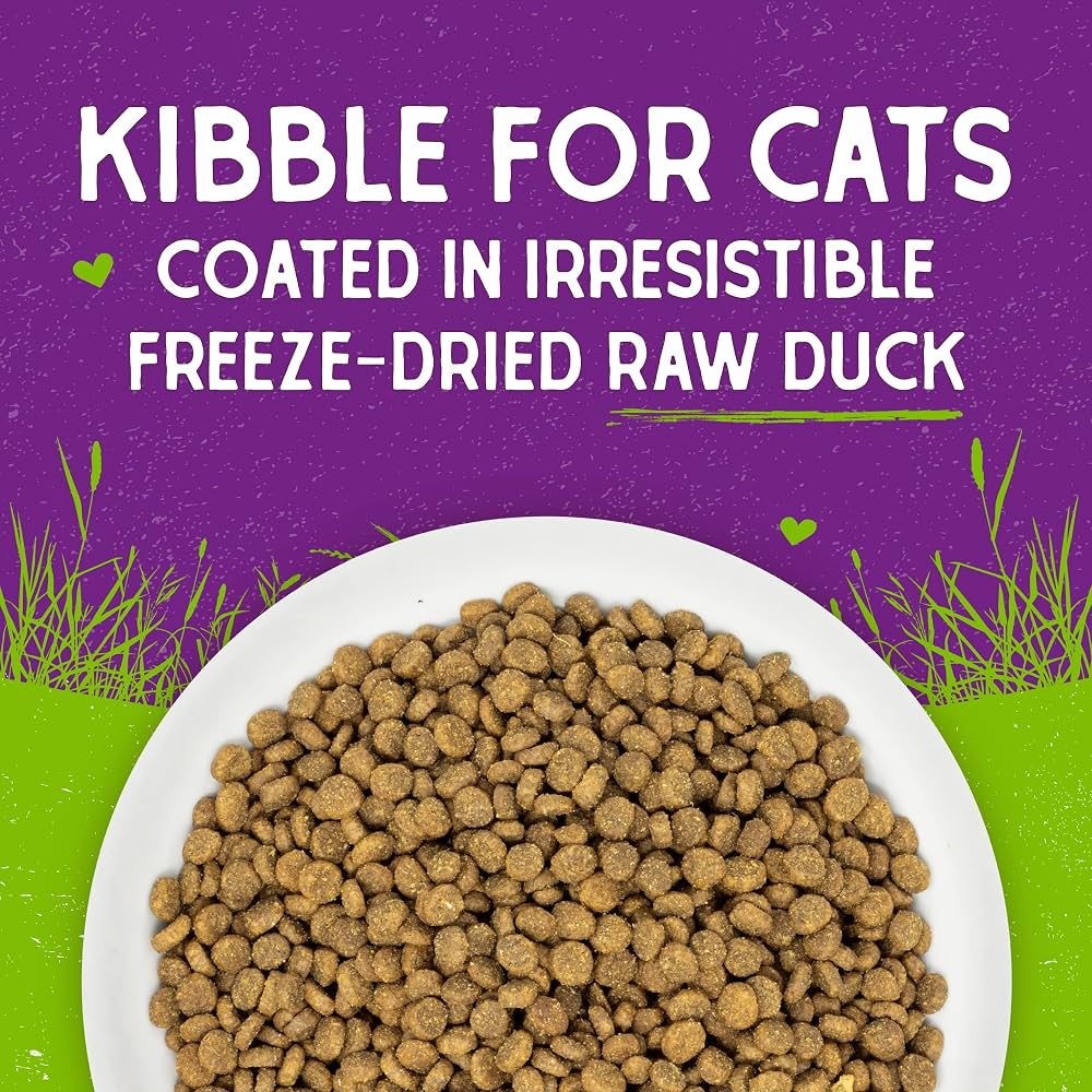 Stella & Chewy’s Baked Kibble for Cats Raw Coated Cage Free Duck Recipe 5 lb