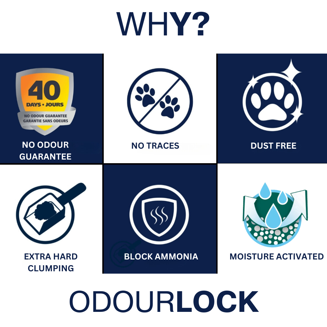Intersand OdourLock Unscented Litter – 6 kg