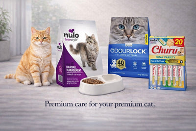 Pawry Starter Care Bundle