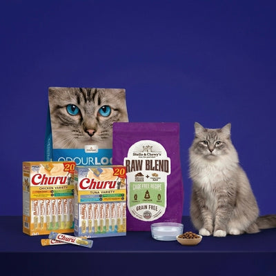 Pawry Care Bundle – Subscription Edition