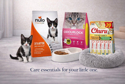 New Kitten Essentials Bundle