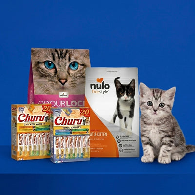 Pawry New Kitten Care — Subscription Edition