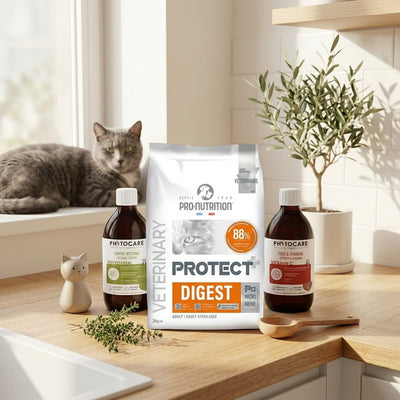 The Sensitive Digestive Care Bundle