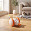Cozy Paws Interactive Cat Toy
