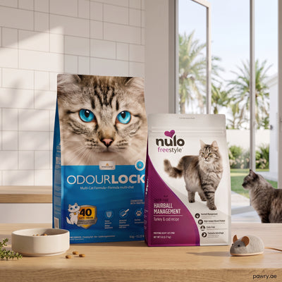 The Absolute Essentials Bundle