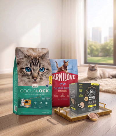 The PAWRY Ultimate Feast & Fresh Box