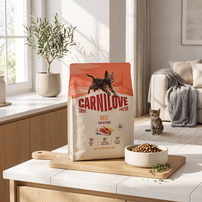 The Ultimate Kitten Starter Care Bundle