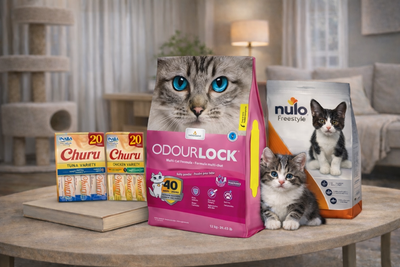 Pawry New Kitten Care — Subscription Edition