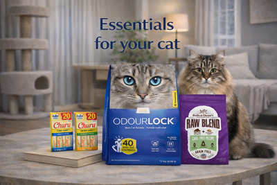 Pawry Care Bundle – Subscription Edition