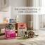 The Ultimate Kitten Starter Care Bundle
