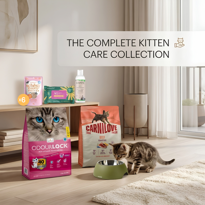 The Ultimate Kitten Starter Care Bundle