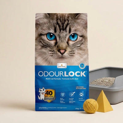 Intersand OdourLock Unscented Litter – 6 kg